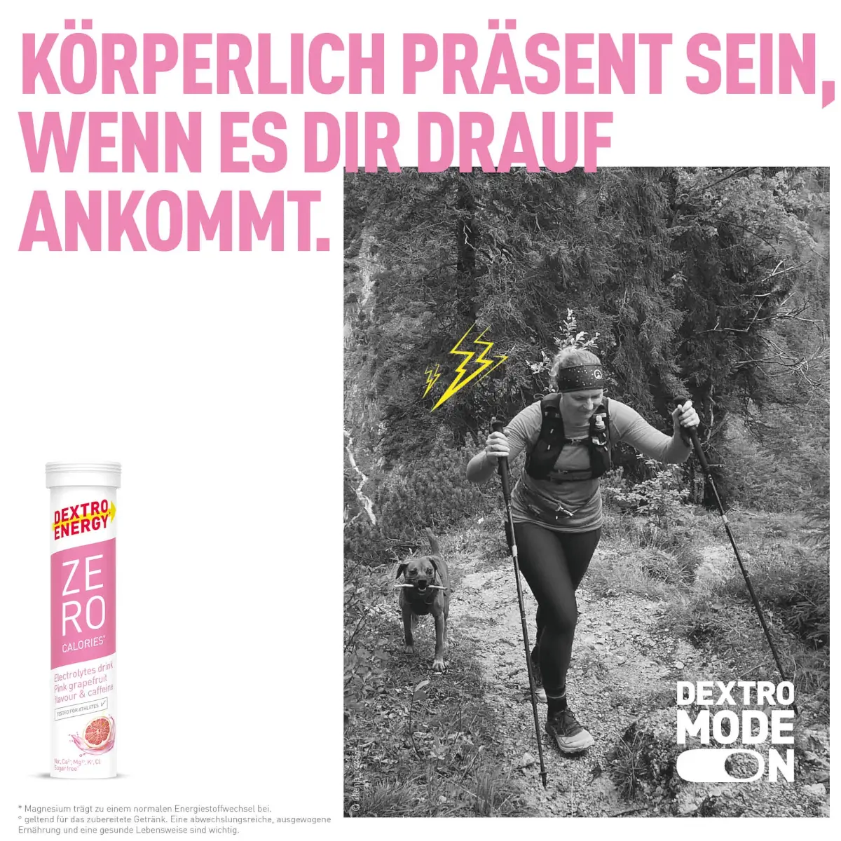 Elektrolyttabletten Dextro Energy Pink Grapefrucht + Koffein – Bild 3